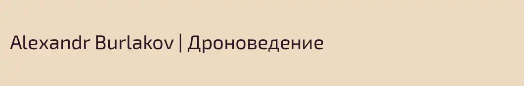 Alexandr Burlakov | Дроноведение